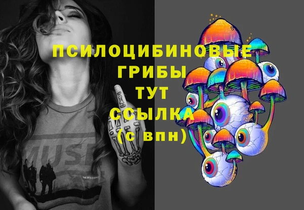 хмурый Касимов